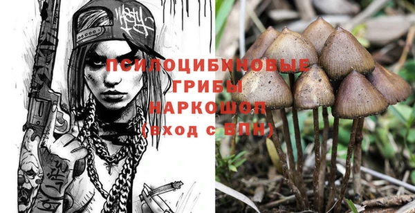 гашик Кукмор