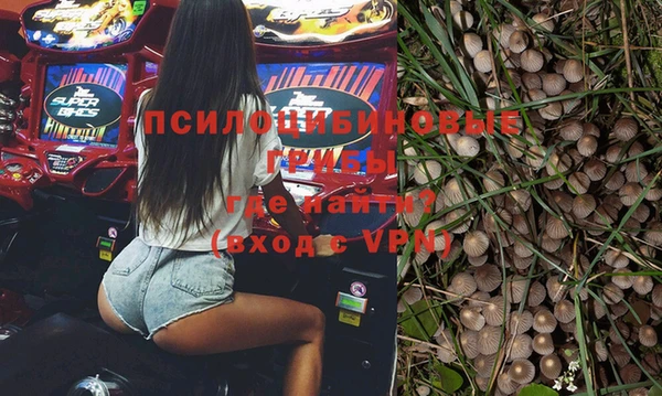 стафф Куйбышев