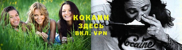гашик Кукмор