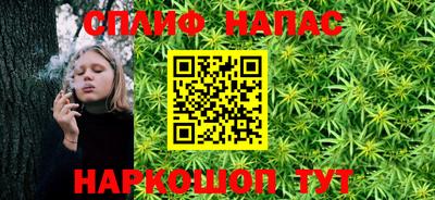 спайс Гагарин