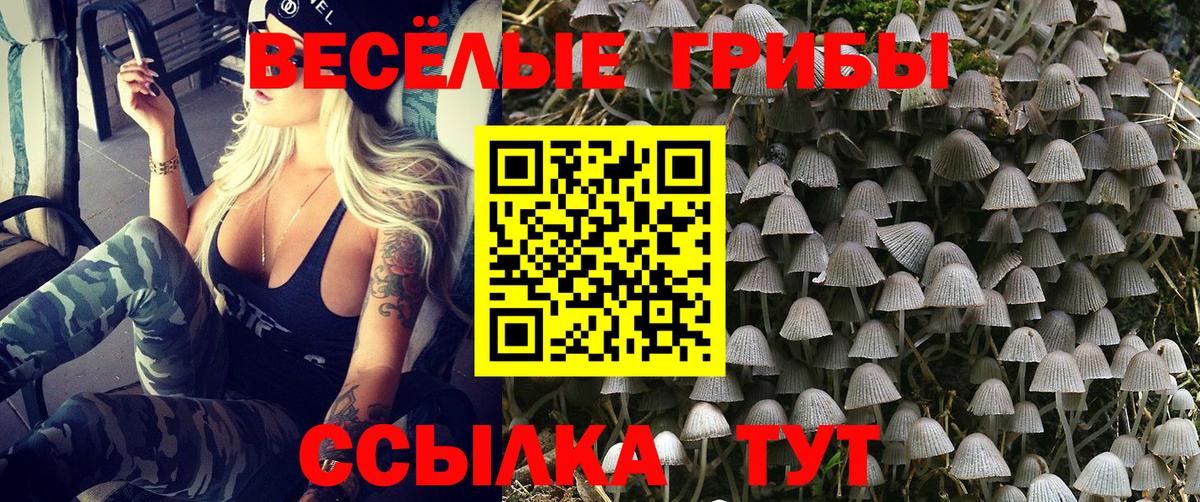 Воронеж  Галлюциногенные грибы ЛСД  Галлюциногенные грибы Psilocybine cubensis  Вход с VPN 